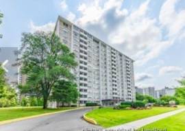 Two bed room apartment  for rent in Mississauga 