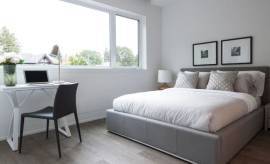 Room for rent near Hurontario Street & Steeles Avenue East in Brampton