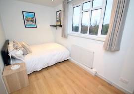 Room for rent in Brampton near Mill Street North & Nelson Street West